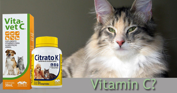 Izkoristite 25% popust na izdelek Vita-Vet C za male živali do konca meseca februarja!