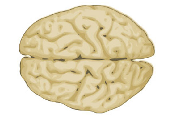 Migrena - več kot le ponavljajoč glavobol