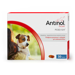 Antinol za pse Vetz Petz, kapsule za podporo presnov v sklepih pri osteoartritisu (30 kapsul)