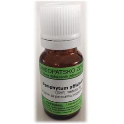 Symphytum officinale