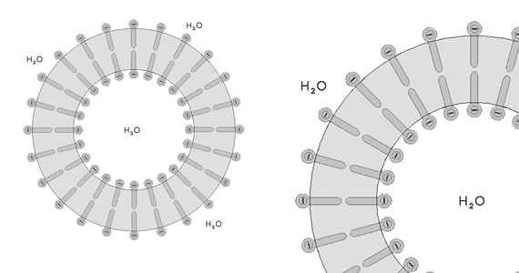 Liposomalne oblike prehranskih dopolnil.