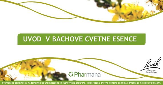 Uvod  v Bachove cvetne esence oz. Bachove kapljice.