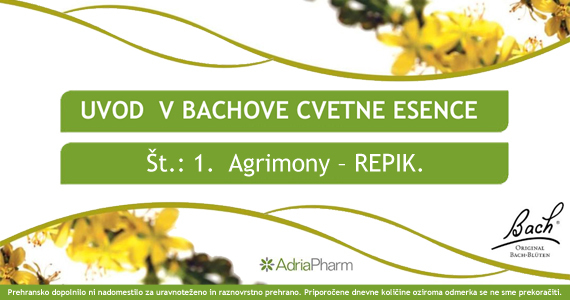 Bachove cvetne esence: Agrimony – Repik.