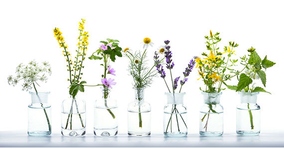  Ali v homeopatiji obstajajo različne veje ali šole zdravljenja? - Slika 1
