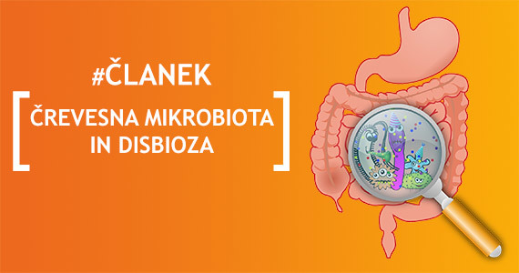 Črevesna mikrobiota in disbioza.