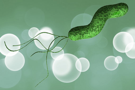 helicobacter pylori