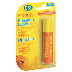 Propolaid, balzam za ustnice ZF  20 (5,7 ml)