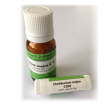 Chelidonium majus