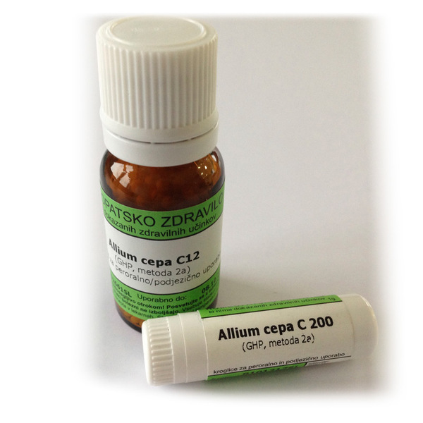 Allium cepa