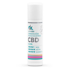 Alpha CBD Favn, dermatološko mazilo za ustnice (4,5 ml)