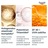 Eucerin hyaluron filler elasticity refill dnevna krema zf30 50 ml 4
