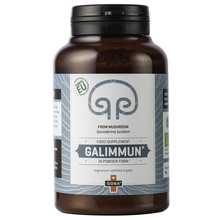 Goba Galimmun, ganoderma lucidum v prahu - 75 g