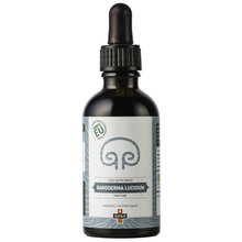Goba Ganoderma lucidum, tinktura - 50 ml