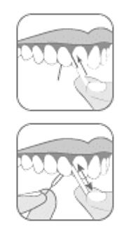 Uporaba zobne nitke Paro Brush'n floss