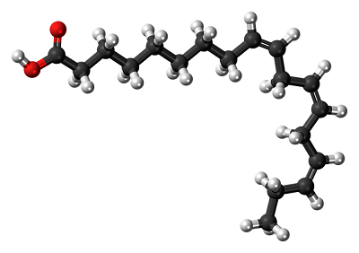 omega 3 kapsule